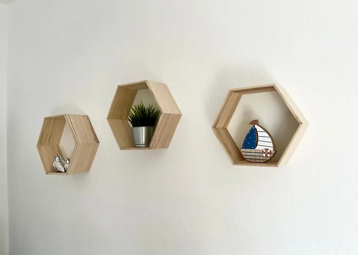 The House 帕拉利亚狄奥尼索